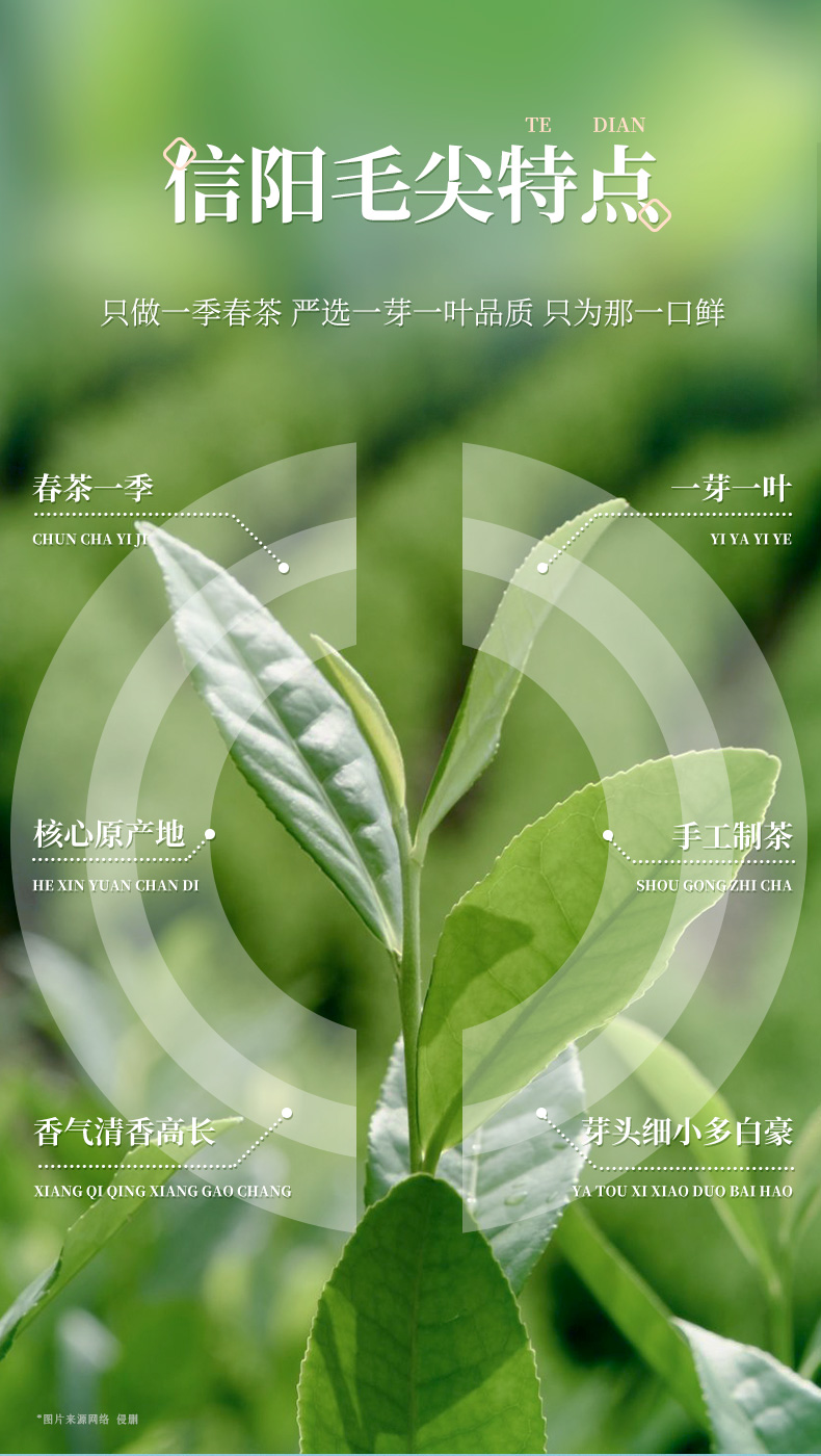 d464fa7380a245bfb0c44e0e23c56205.jpg