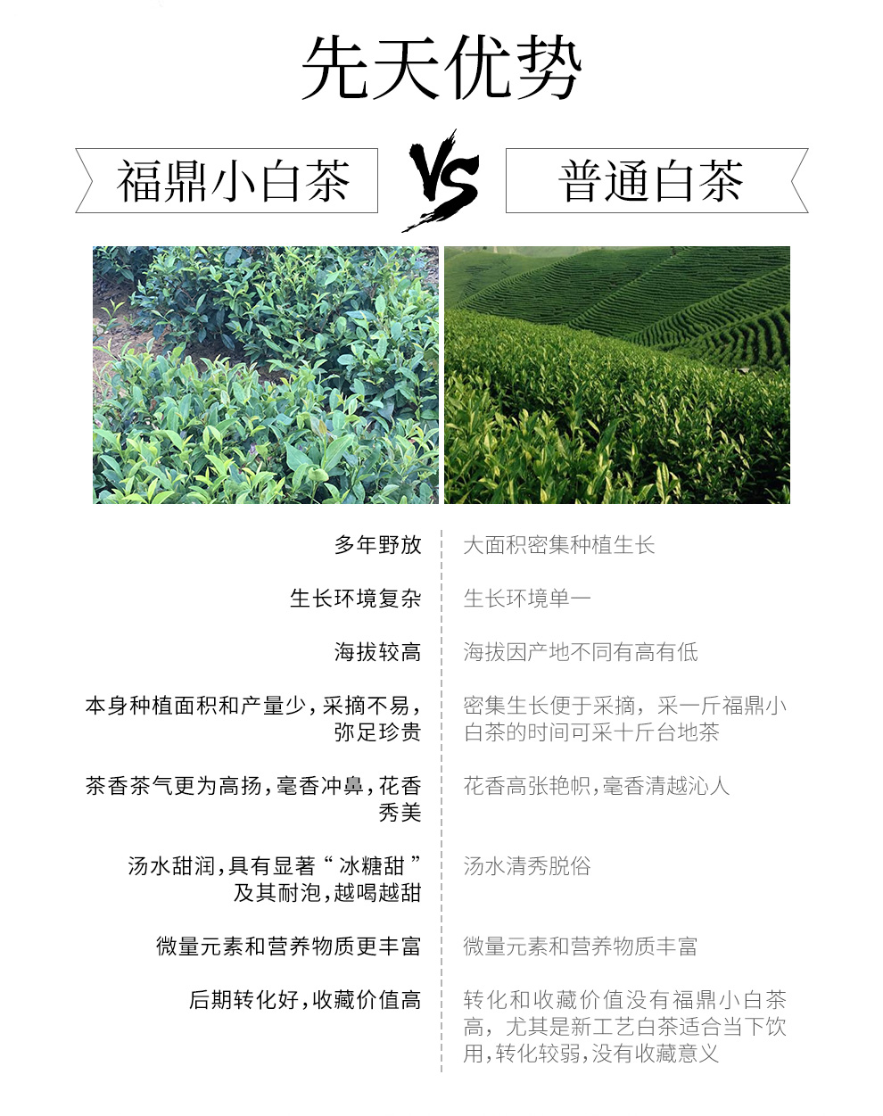 f503aea449ab4134a0376d5564cde0dc.jpg