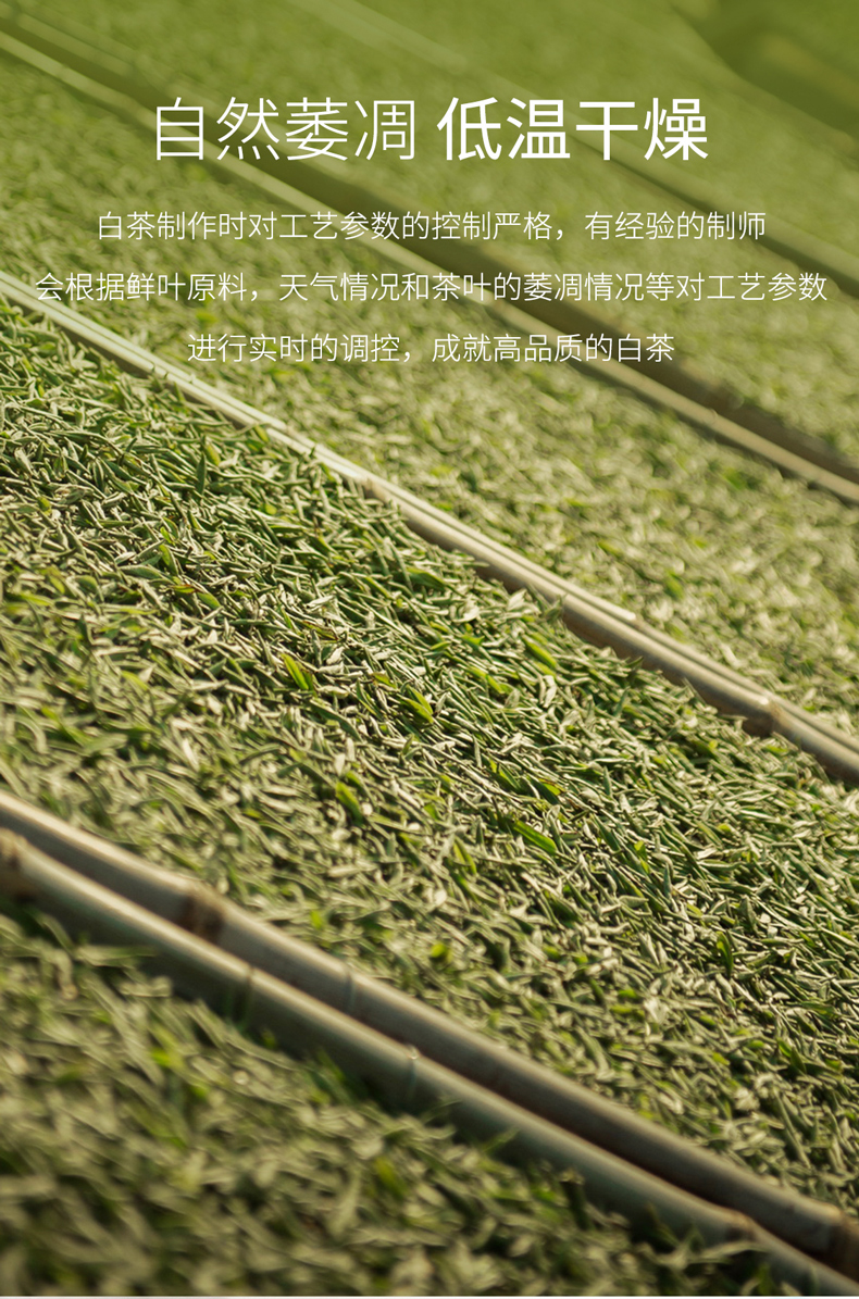 f1e58185b2444f8c9715d5afb9d68afe.jpg
